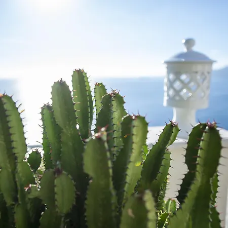 La Barbera 4* 프라이아노